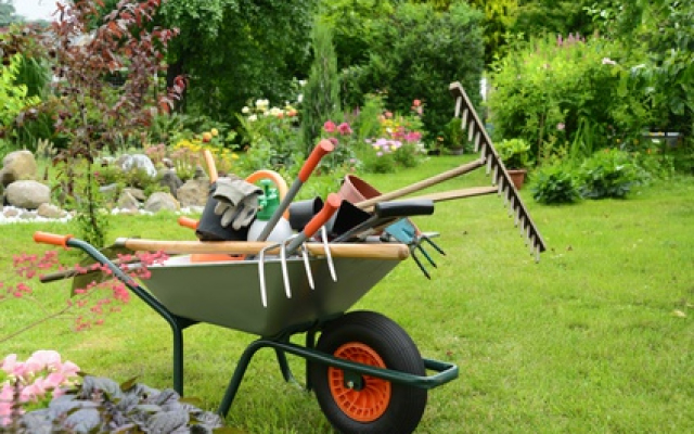 Gartenpflege